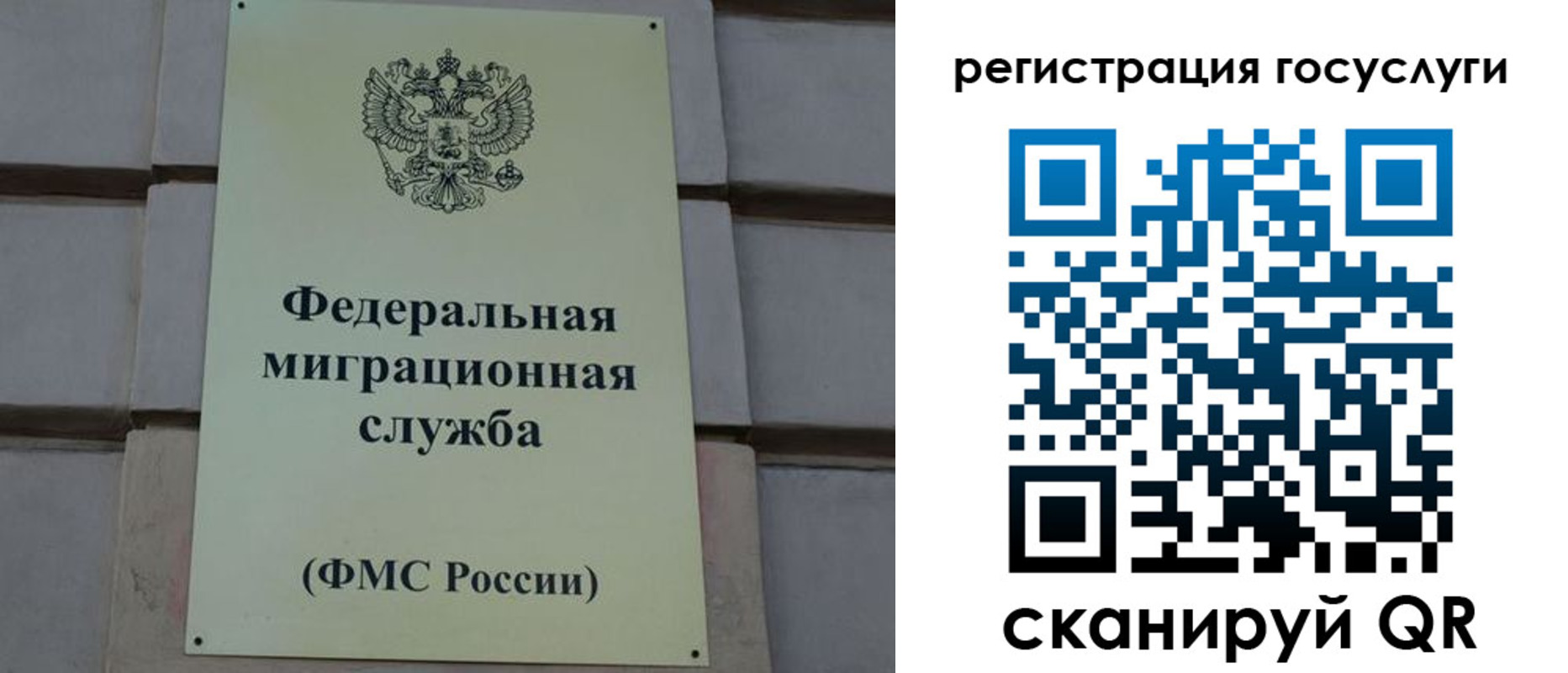 временная регистрация поиск в Грязовце